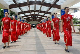 禮儀志愿者 專業服務與奉獻精神的生動寫照