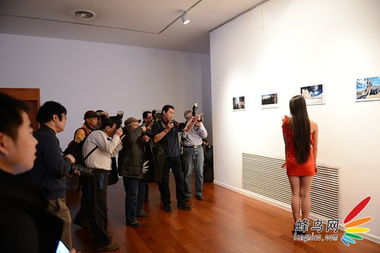 影像點亮生活 2014蜂鳥網全國網友嘉年華禮儀服務